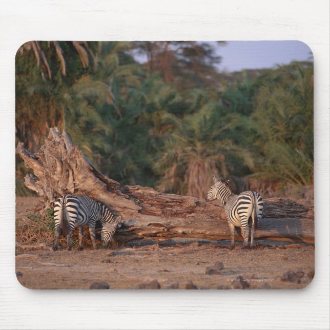 Grant Zebra 5 Mouse Pad (Front)