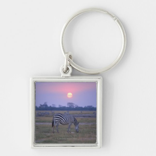 Grant Zebra 6 Keychain (Front)