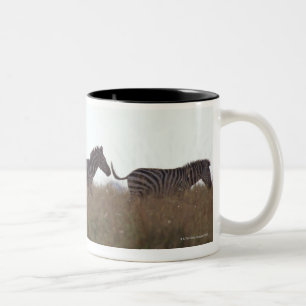 Grant Zebra 7 Two-Tone Coffee Mug