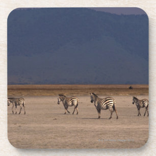 Grant Zebra Coaster