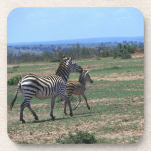 Grant Zebra Coaster