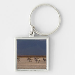 Grant Zebra Keychain