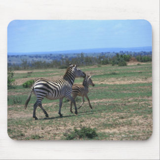 Grant Zebra Mouse Pad