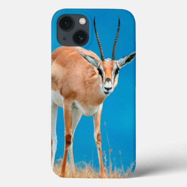 Grant's Gazelle (Gazella Granti) Ewe Portrait Case-Mate iPhone Case (Back)