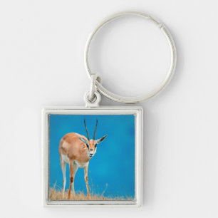 Grant's Gazelle (Gazella Granti) Ewe Portrait Keychain