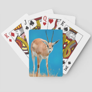 Grant's Gazelle (Gazella Granti) Ewe Portrait Playing Cards