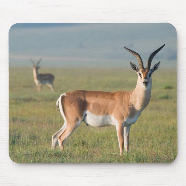 Grant's Gazelle, Ngorongoro Crater, Ngorongoro Mouse Pad (Front)