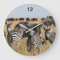 Grant's Zebra