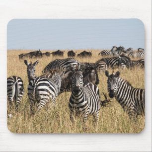 Grant's Zebra Mouse Pad