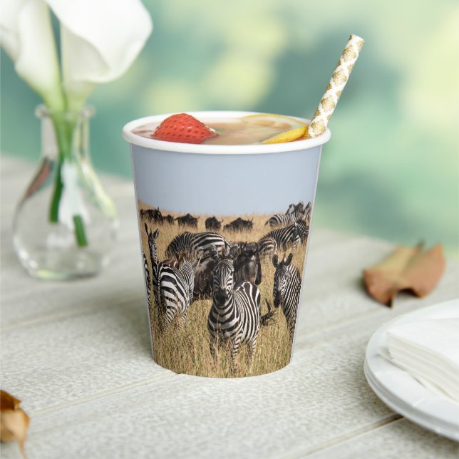 Grant's Zebra Paper Cups (Insitu)