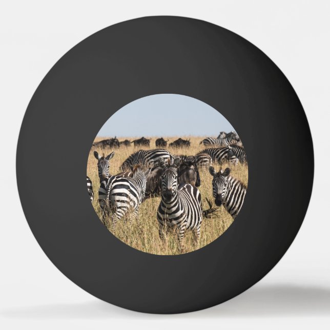 Grant's Zebra Ping Pong Ball (Front)