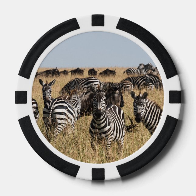 Grant's Zebra Poker Chips (Front)