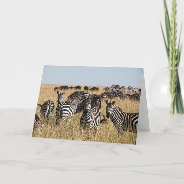 Grant's Zebra Thank You Card (Front)