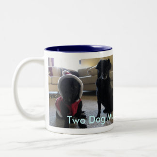 GRAP 2010 Blue Two-Tone Coffee Mug