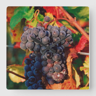 Grape Cluster Square Wall Clock
