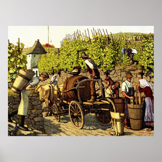 Grape Harvest 1890 Poster (Front)