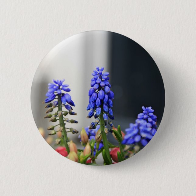 grape hyacinth 2 inch round button (Front)