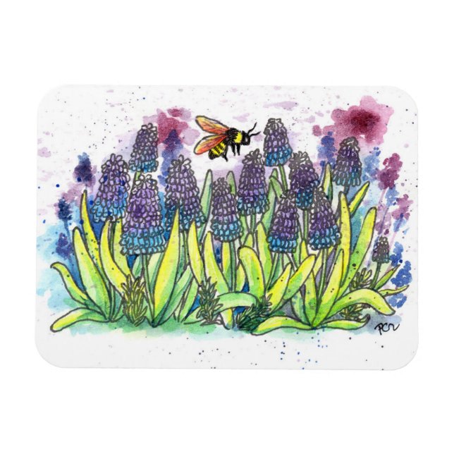 Grape Hyacinth Magnet (Horizontal)