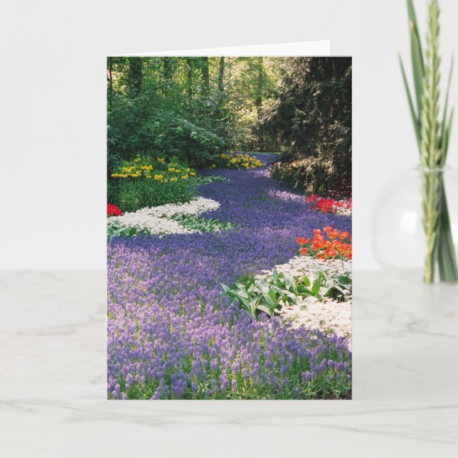 Grape Hyacinth River Card (Front)
