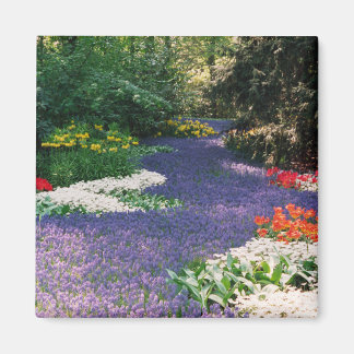 Grape Hyacinth River Magnet