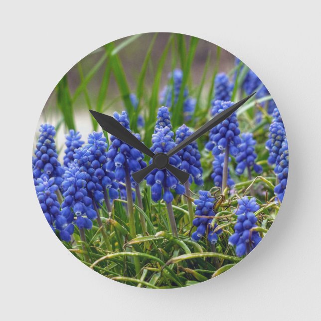 Grape Hyacinth Round Clock (Front)