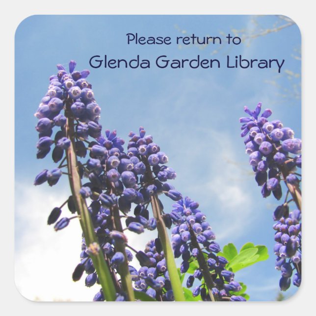 Grape Hyacinths Bookplate ~ sticker (Front)