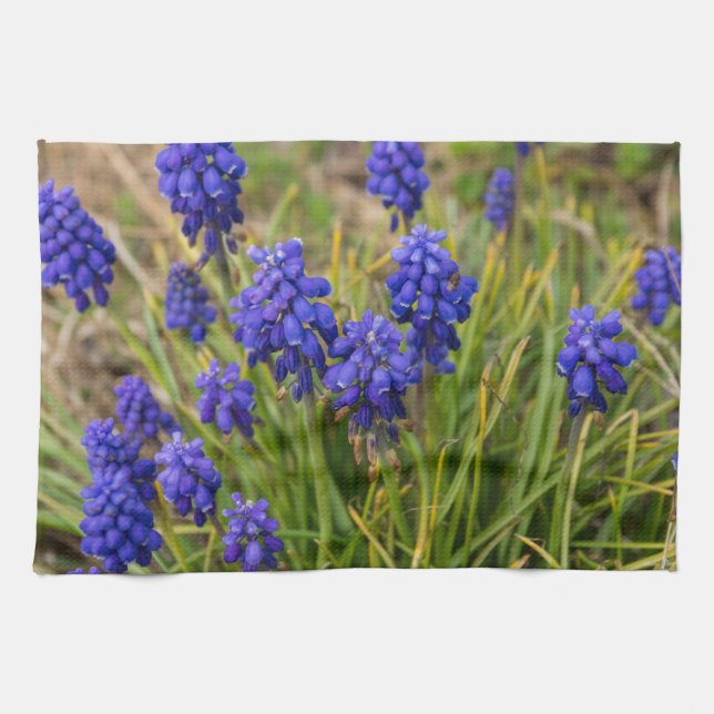 Grape Hyacinths Family Kitchen Towel (Horizontal)