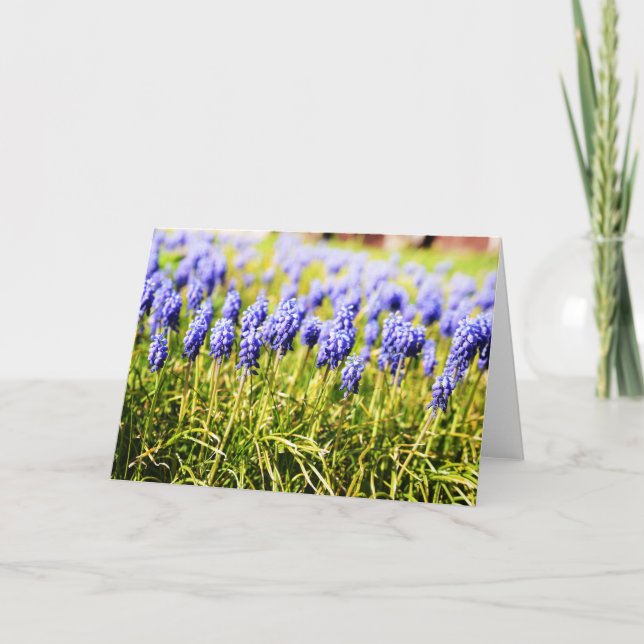 Grape Hyacinths in Spring Card (Front)