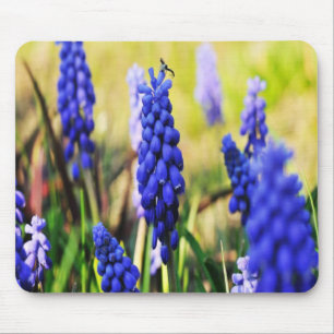 Grape Hyacinths Mouse Pad