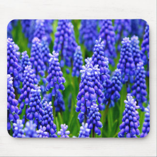 Grape Hyacinths Mouse Pad