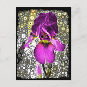 Grape Iris Postcard