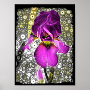 Grape Iris Poster