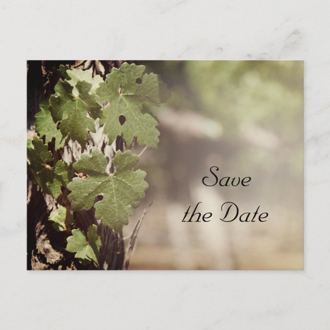 Grape Leaves Vineyard Wedding Save the Date Announcement Postcard (Front)