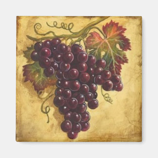 Grape magnet