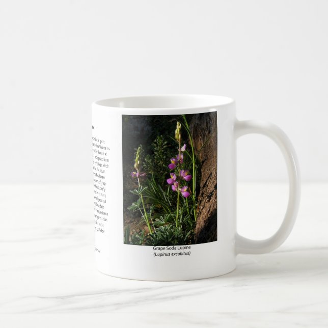 Grape Soda Lupine Coffee Mug (Right)