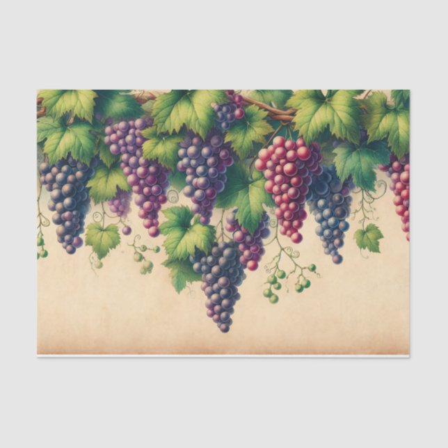 Grape Vine Border on Parchment Decoupage Tissue Paper (Front)