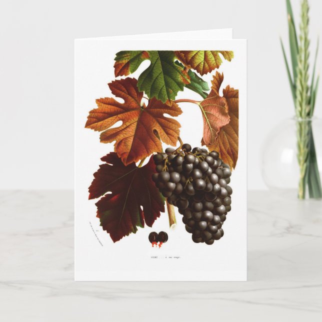 Grape vine card (Front)
