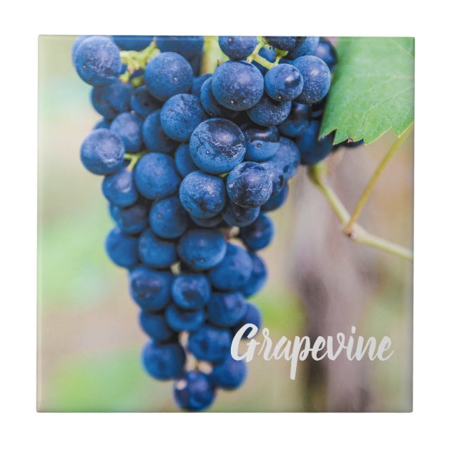 Grape Vine for wine and grapevine winegrower gift Tile (Front)