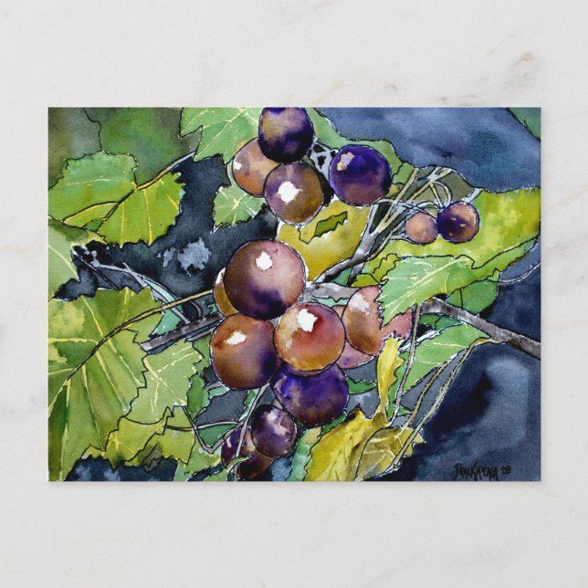 grape vine fruit still life art post card postcard (Front)