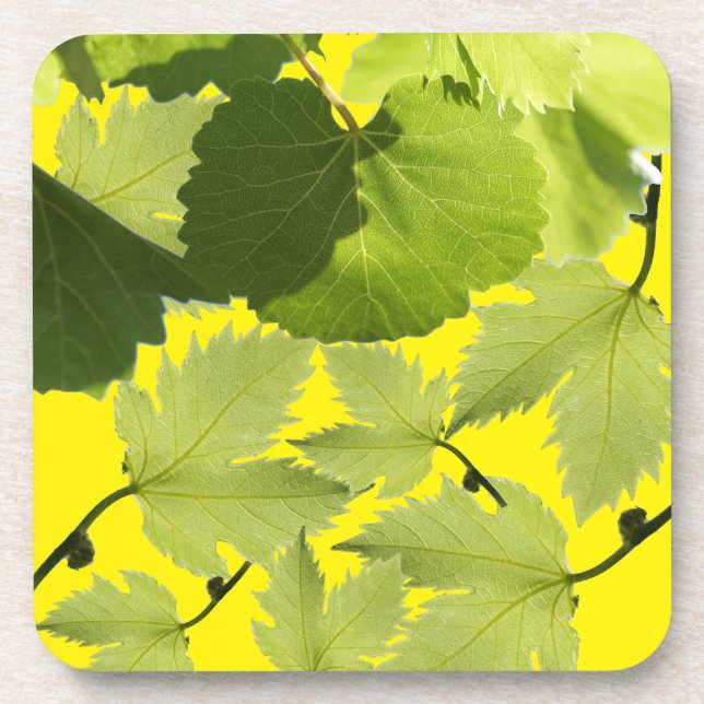 Grape Vine Green Leaves Coaster (Front)