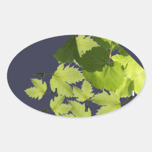 Grape Vine Green Leaves Oval Sticker