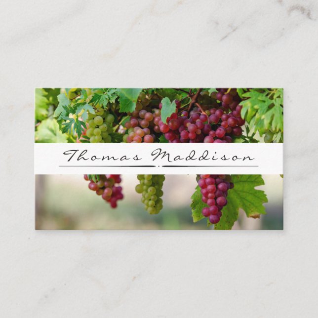 Grape Vine Vineyard Winery Business Card (Front)