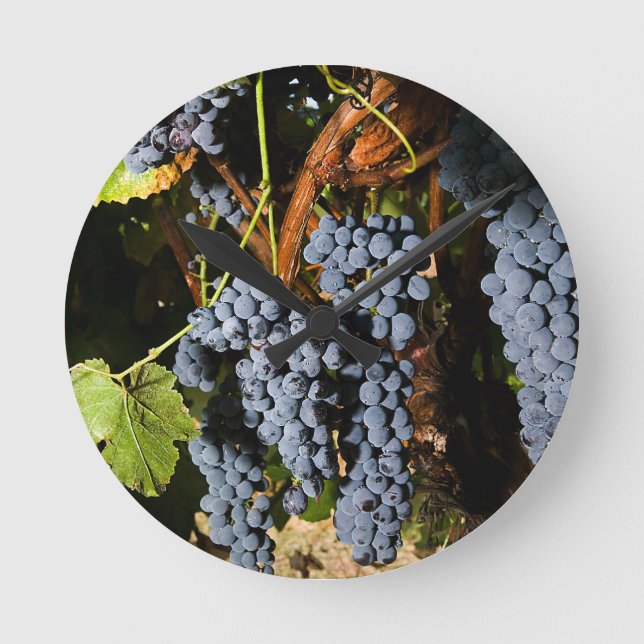 Grape Vineyard 2 Round Clock (Front)