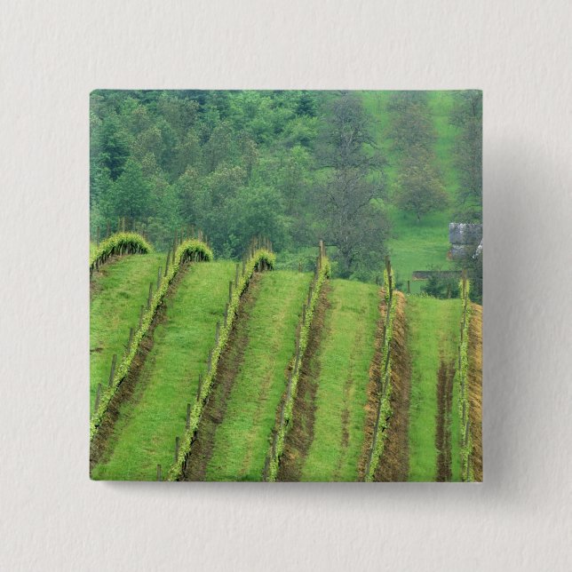 Grape Vineyards near Newberg Oregon 2 Inch Square Button (Front)