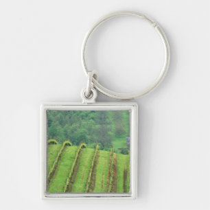 Grape Vineyards near Newberg Oregon Keychain