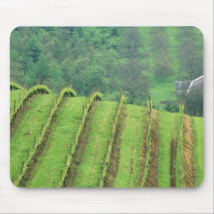 Grape Vineyards near Newberg Oregon Mouse Pad
