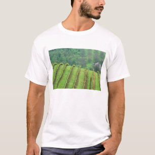 Grape Vineyards near Newberg Oregon T-Shirt
