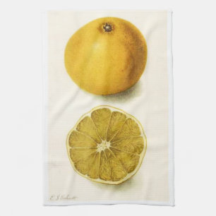 Grapefruit Kitchen Towel