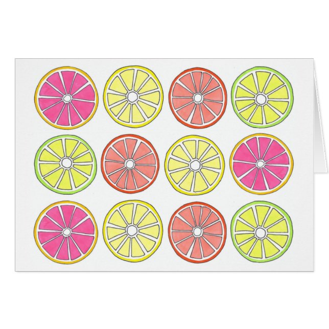 Grapefruit Lemon Lime Orange Citrus Fruit Slices (Front Horizontal)