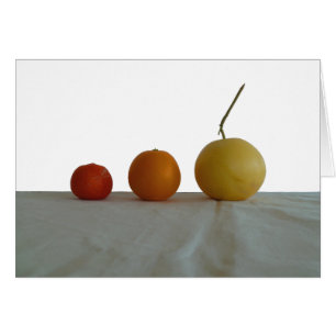 Grapefruit, Orange & Tangerine Still Life